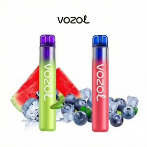 Pack pods desechables VOZOL Neon 1000 puffs 20mg/ml nicotina - 20 uds. (2 sabores top)