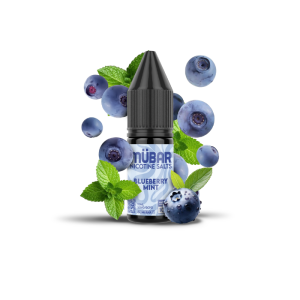 Bote de sales de nicotina Mübar Blueberry Mint de 10 ml, 10 mg/ml